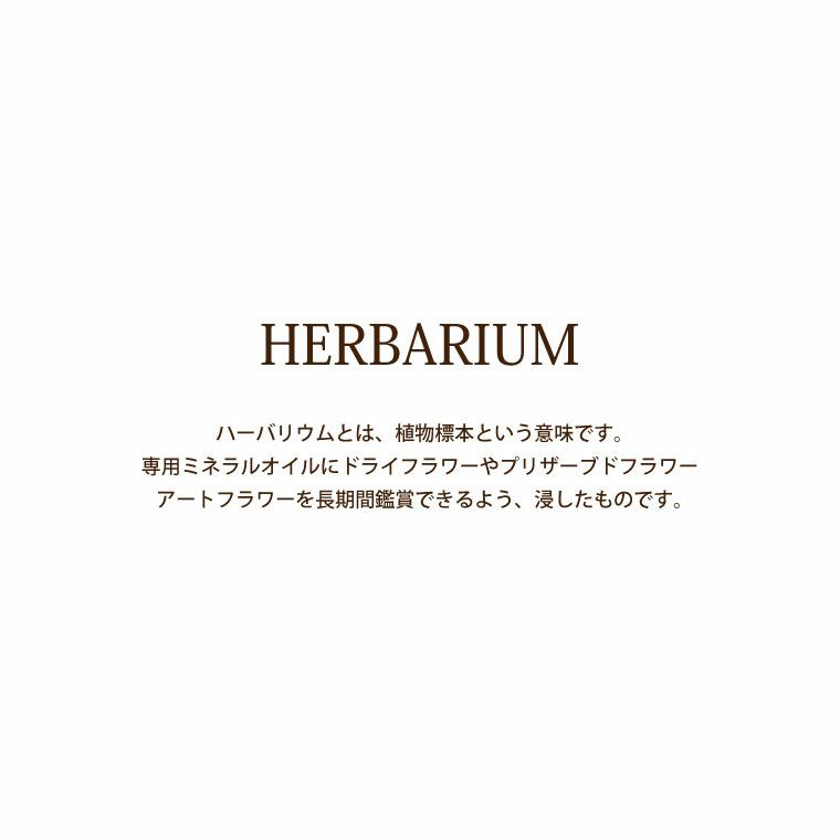 桜 ハーバリウム ボールペン ＆ カードケース セット 替え芯付き
