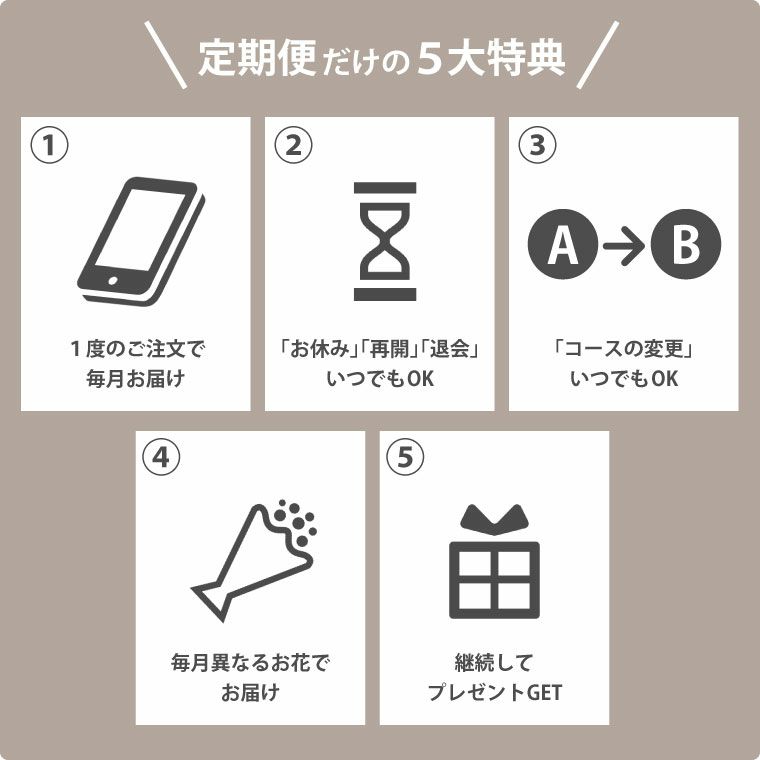 ペットちゃんの虹の橋 定期便 ふわふわコース 3ヶ月 Sサイズ