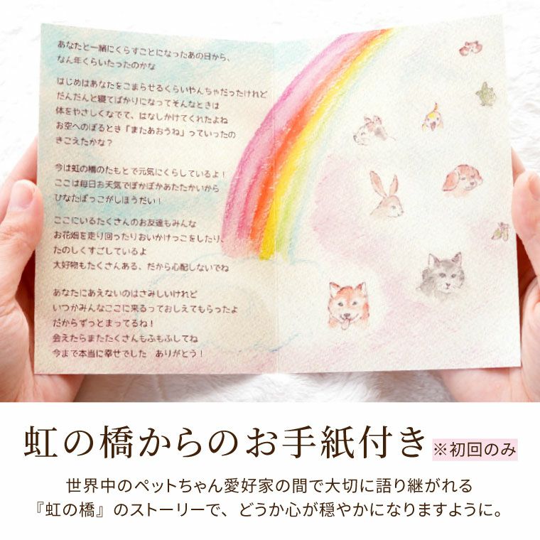 ペットちゃんの虹の橋 定期便 ふわふわコース 6ヶ月 Sサイズ