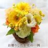 ペットちゃんの虹の橋 定期便 ふわふわコース 12ヶ月 Sサイズ