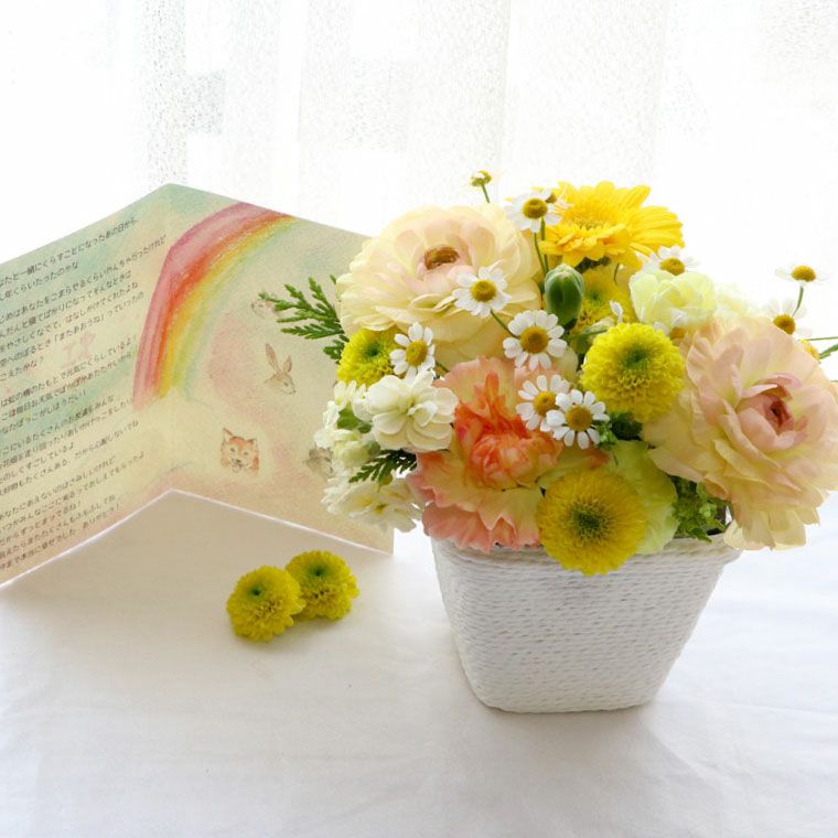 ペットちゃんの虹の橋 定期便 ふわふわコース 12ヶ月 Sサイズ