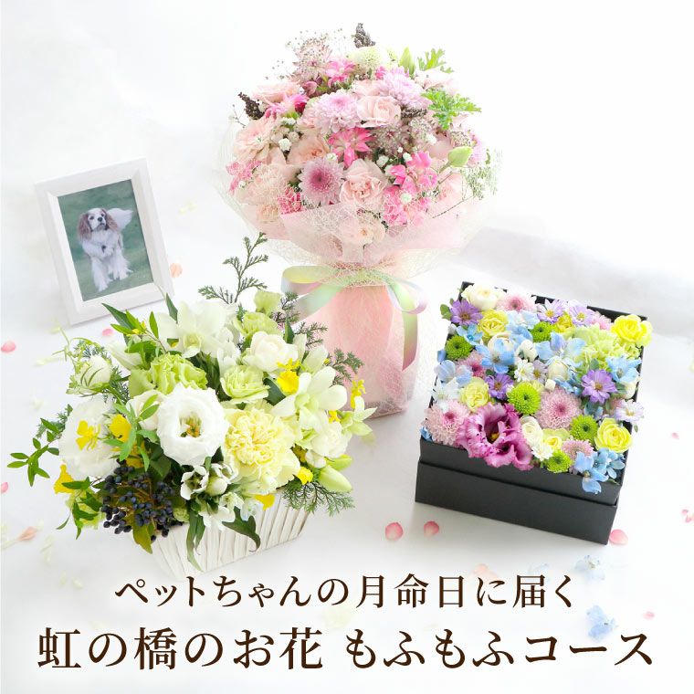 ペットちゃんの虹の橋 定期便 もふもふコース 6ヶ月