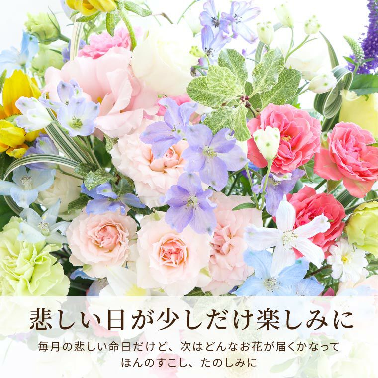 ペットちゃんの虹の橋 定期便 もふもふコース 6ヶ月