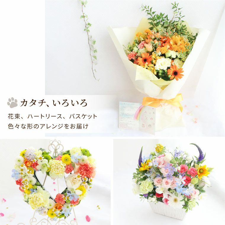 ペットちゃんの虹の橋 定期便 ふかふかコース 3ヶ月
