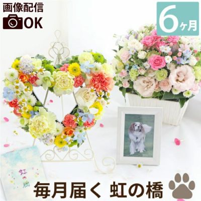 【毎月お届け】『ペットちゃんの虹の橋 定期便 ふかふかコース 6ヶ月』Lサイズ お供え 生花