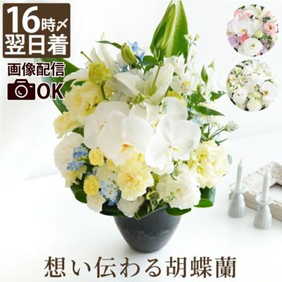 『胡蝶蘭のお供えシルキーアレンジ』 生花