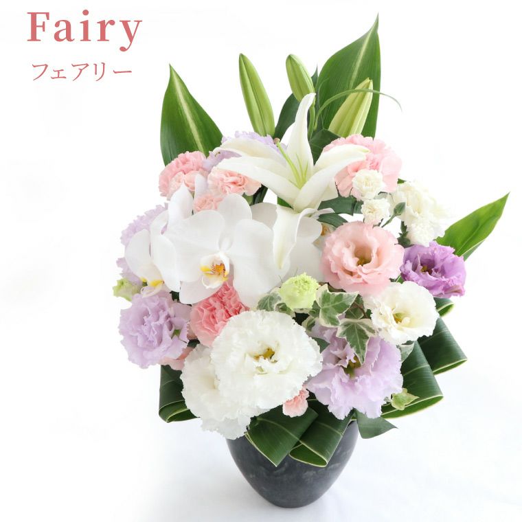 胡蝶蘭のお供えシルキーアレンジ 生花