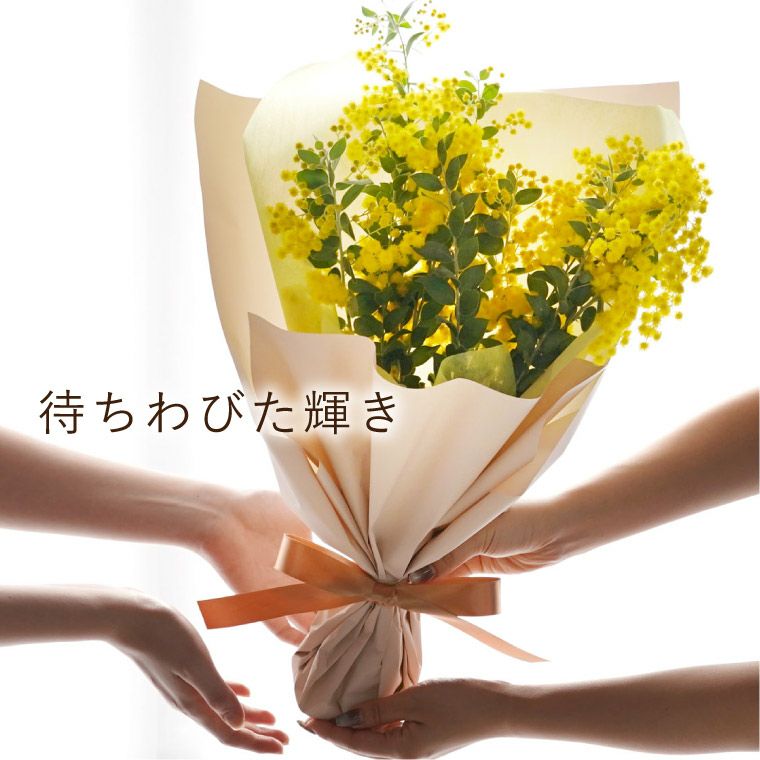 日*0様 最終値下げ●Bouquet de muguet●ミモザカバーリング(大 Bouquet de muguetミモザカバーリング(大)単体 Bouquet de