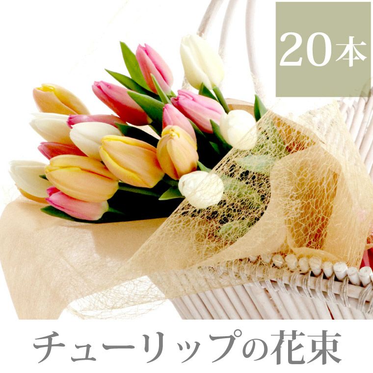 チューリップの花束 ・20本 生花