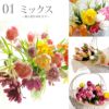 チューリップの花束 ・20本 生花