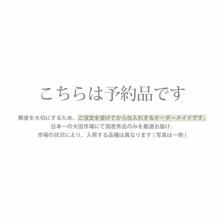 チューリップの花束 ・30本 生花