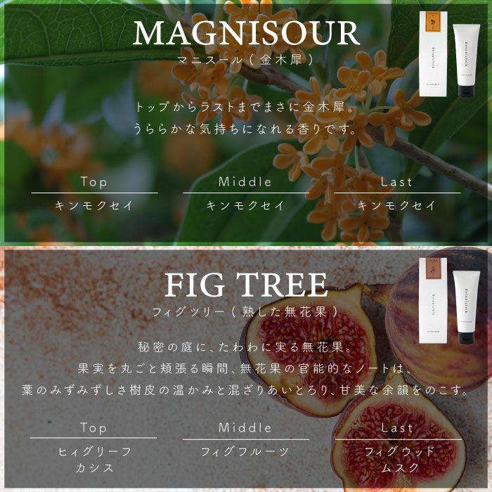 キンモクセイ、無花果