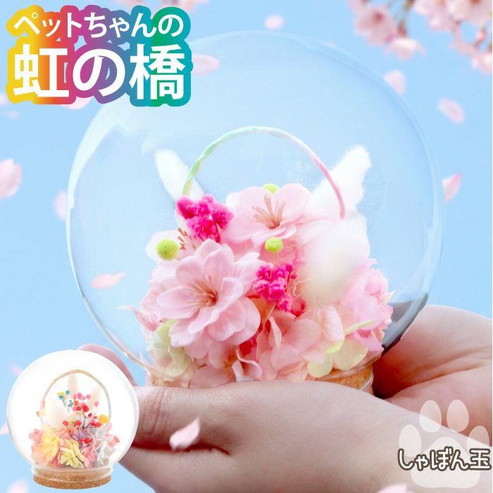 ペットちゃんの虹の橋 しゃぼん玉 お供え プリザーブドフラワー