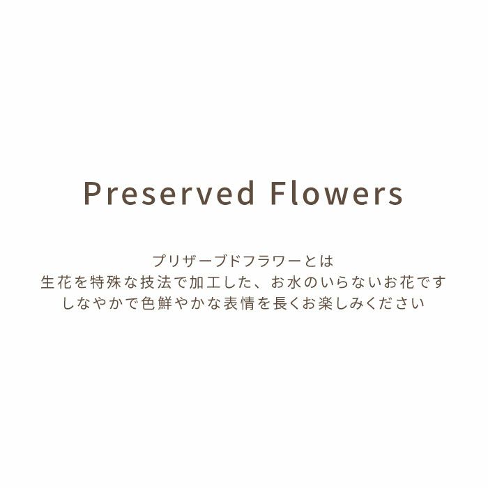 ペットちゃんの虹の橋　エターナル お供え プリザーブドフラワー