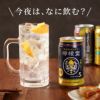 レモンサワー飲み比べ 6本セット