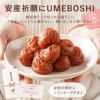 安産祈願 UMEBOSHI