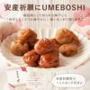 安産祈願UMEBOSHI 3種詰合せ