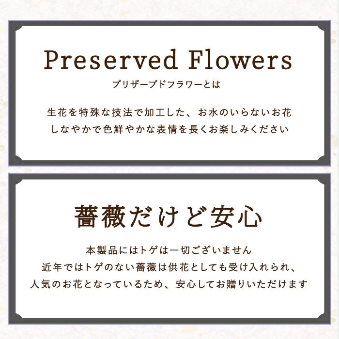 フラワーボトル＆ガトープルポ お供え プリザーブドフラワー